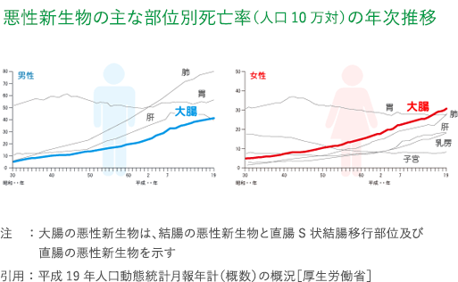 悪性新生物の主な部位別死亡率（人口10万対）の年次推移